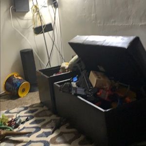 Meet your Posher, Lori